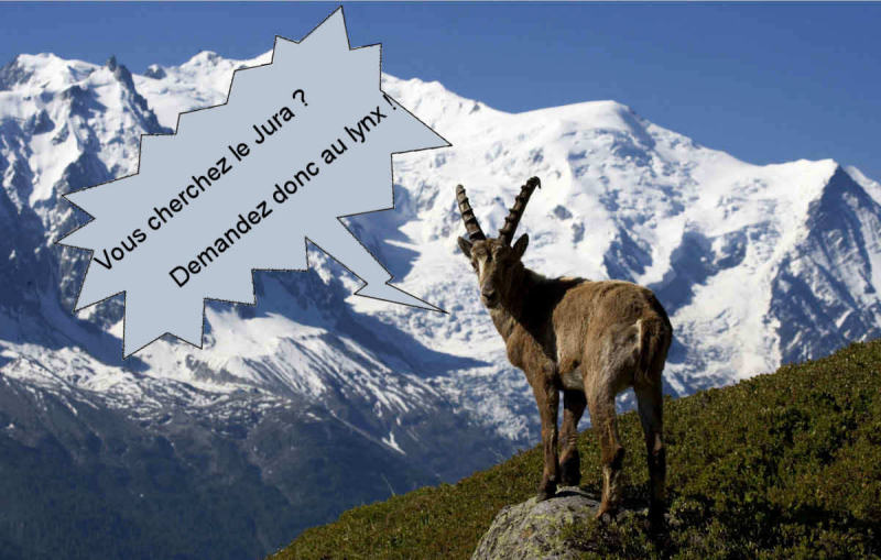 chamois dans les Alpes